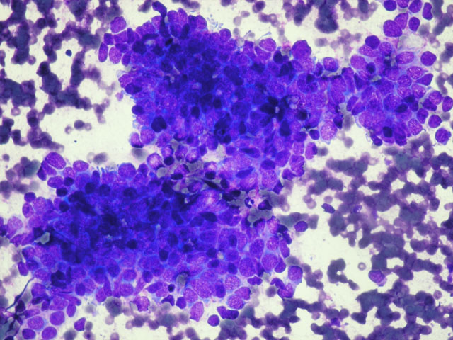 Fig. 4 - <div style=